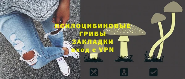 прущие крисы Медвежьегорск