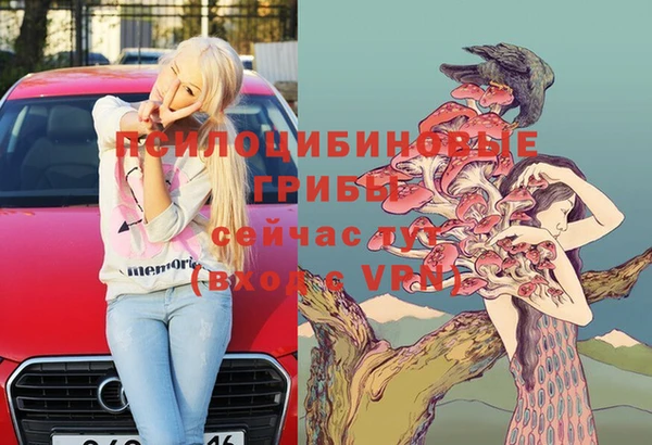 мдпв Медногорск