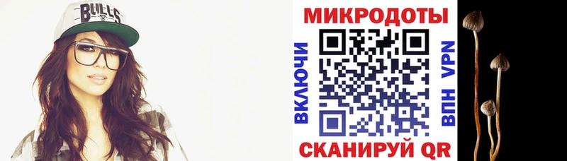 магазин продажи наркотиков  Малаховка  Псилоцибиновые грибы мухоморы 